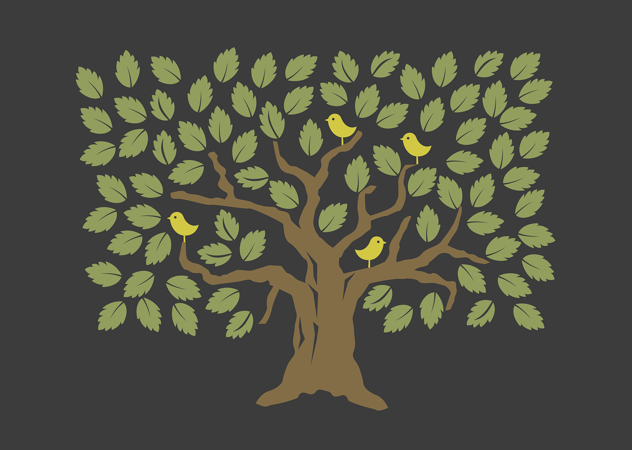 Érable maladie tronc : Découvrez les symptômes et les traitements pour soigner votre arbre